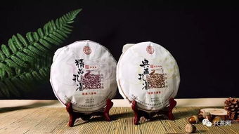 興茶視角 茶企需要爆款還是經(jīng)典產(chǎn)品？
